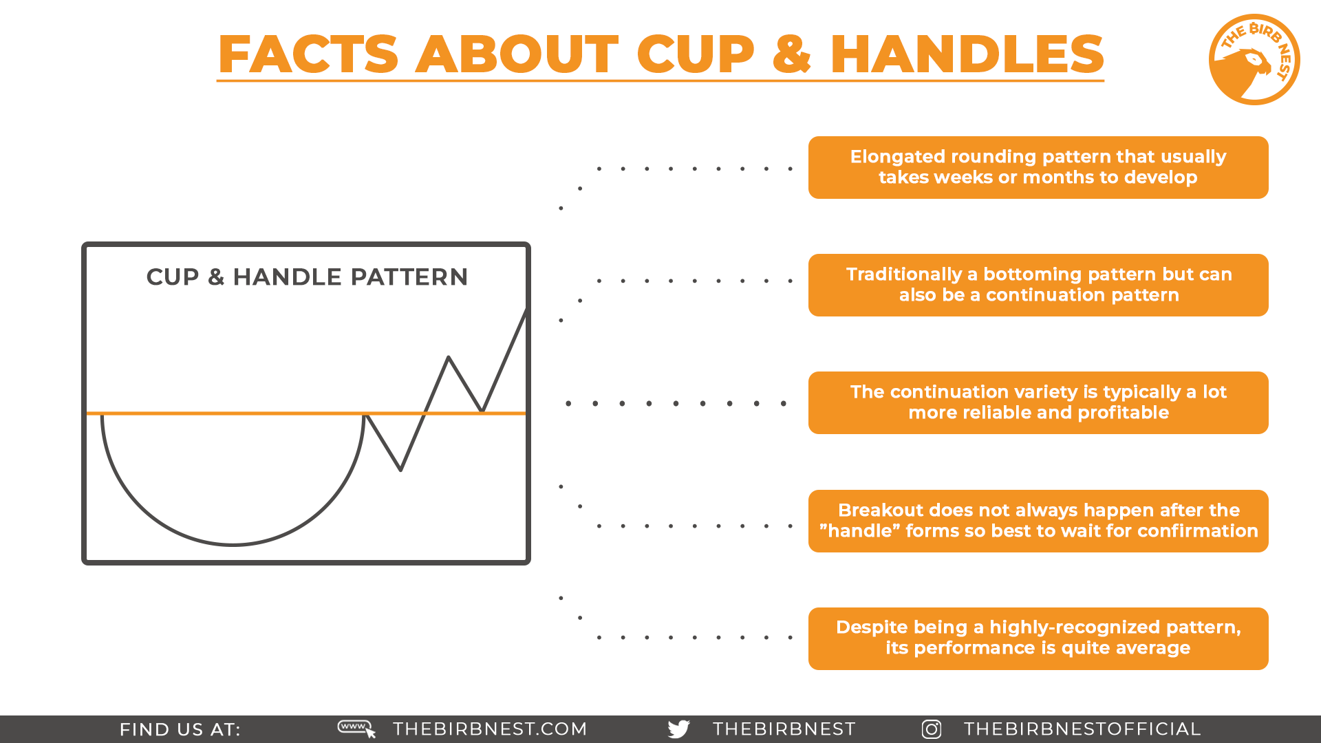 facts_about_cup